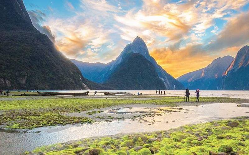 新西蘭創(chuàng)業(yè)移民多少錢？全面了解費(fèi)用與步驟