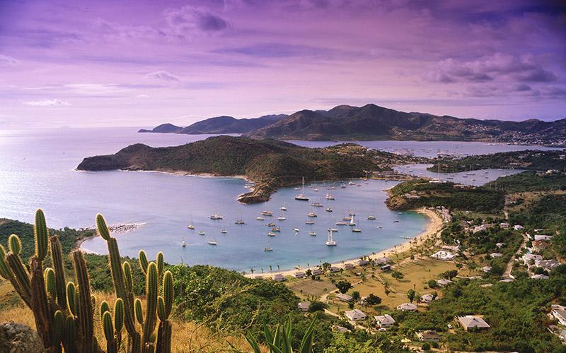 新西蘭創(chuàng)業(yè)移民怎么申請(qǐng)？詳解申請(qǐng)步驟與注意事項(xiàng)