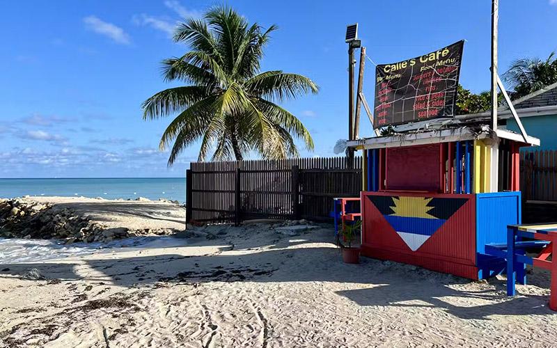 移民需要多高學(xué)歷才能移民？詳解不同國家的學(xué)歷要求與移民政策