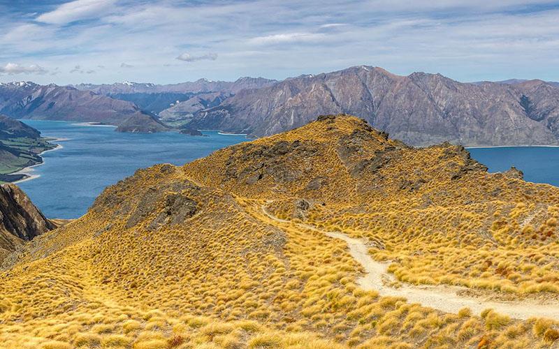 中國(guó)香港投資移民要多久？申請(qǐng)時(shí)間與流程解析