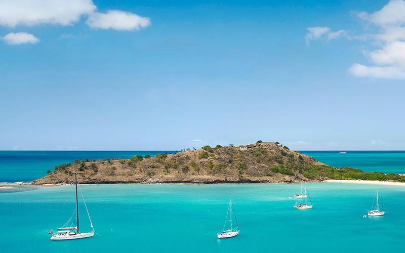 移民新西蘭需要多久？時間與流程解析