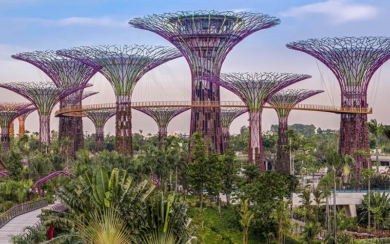 怎樣創(chuàng)業(yè)移民新加坡？全面解析創(chuàng)業(yè)移民的步驟與要求