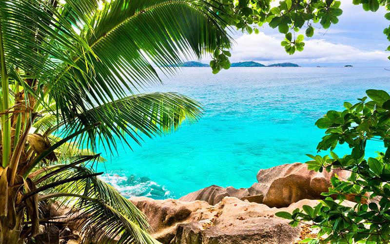 投資移民有幾種類型？全面解析多種移民途徑及優(yōu)勢