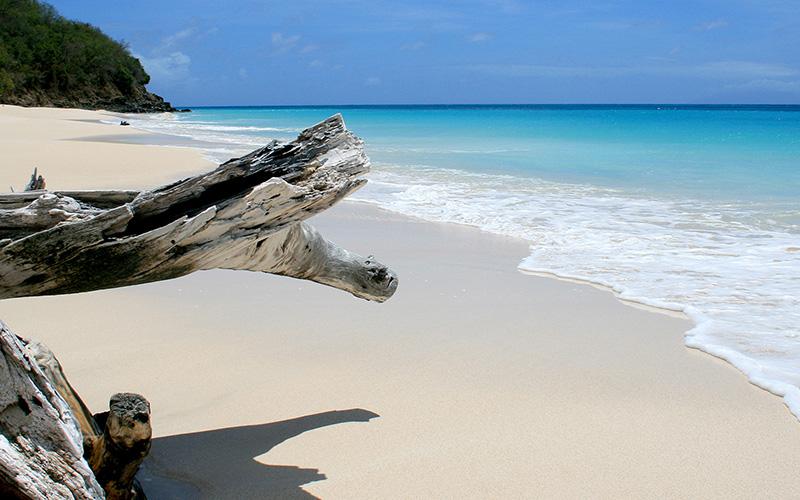 投資移民怎么辦？全面解析投資移民的步驟與要點