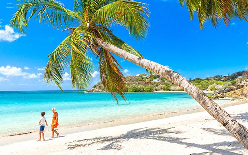 圣基茨移民投資多少錢？了解費用及投資選項較新移民政策解讀