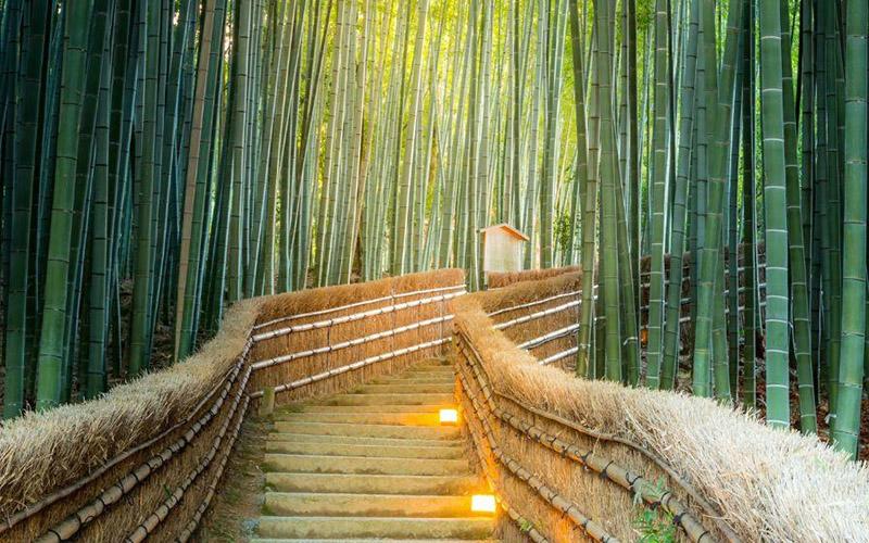 東北人移民日本過(guò)的咋樣？適應(yīng)生活與文化差異的真實(shí)體驗(yàn)