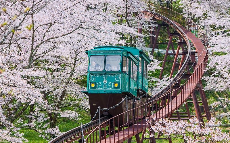 日本怎么投資移民？全面了解日本投資移民的流程與要求