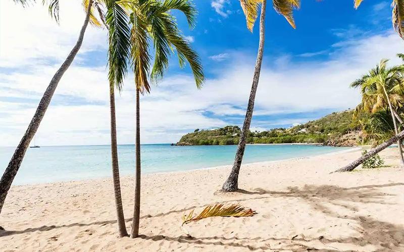 富人移民的原因？揭秘高凈值人群選擇移民的主要?jiǎng)訖C(jī)