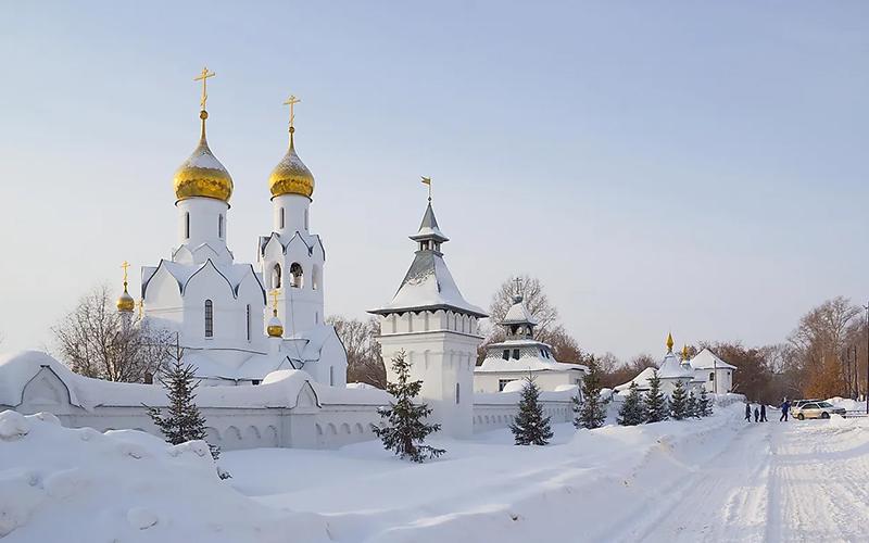 移民咨詢機(jī)構(gòu)重慶有幾家？如何選擇合適的移民服務(wù)公司