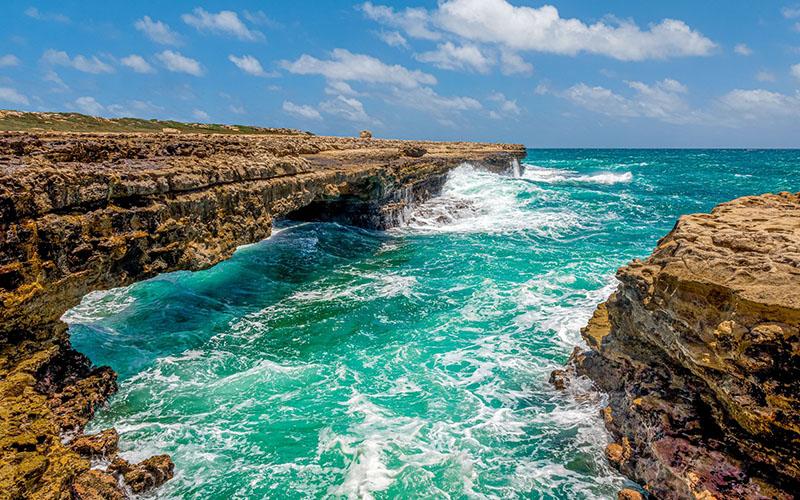 怎樣看待移民？移民的利與弊全面解析