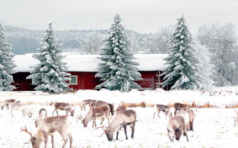 投資移民容易嗎？解析投資移民的難點(diǎn)與機(jī)會(huì)