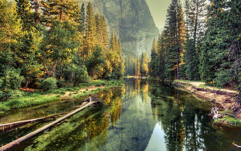 有負(fù)債能不能移民美國？詳細(xì)分析與可行方案