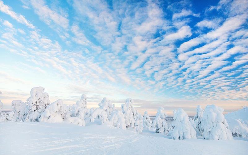 葡萄牙移民哪里辦理？詳解辦理流程與所需材料