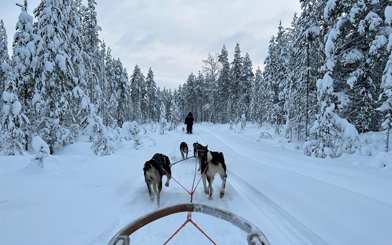 希臘幾個(gè)移民局？了解移民流程及各局職能