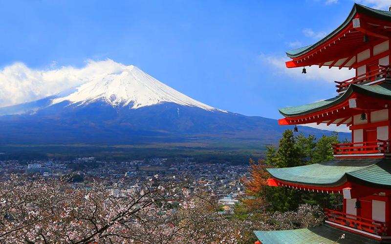 移民父母咋辦？移民父母的安置和關懷全指南