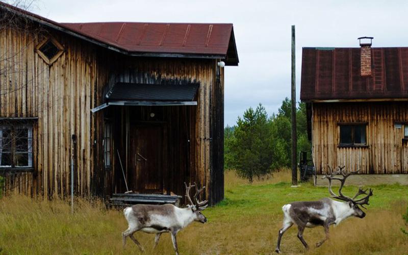 上海出國移民人數(shù)多少？深入解讀移民趨勢(shì)與原因