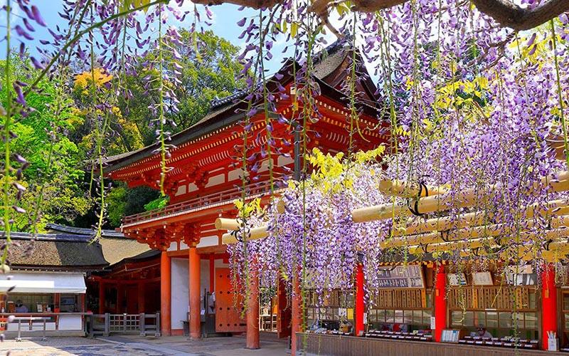 哪些國家是投資移民的熱門選擇？投資移民國家推薦及優(yōu)勢分析