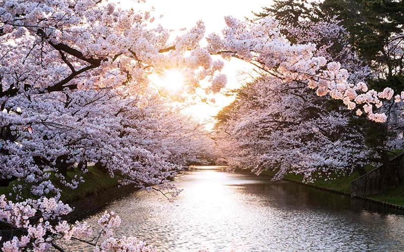 投資移民中介費(fèi)用誰出？詳解費(fèi)用分擔(dān)及項(xiàng)目選擇