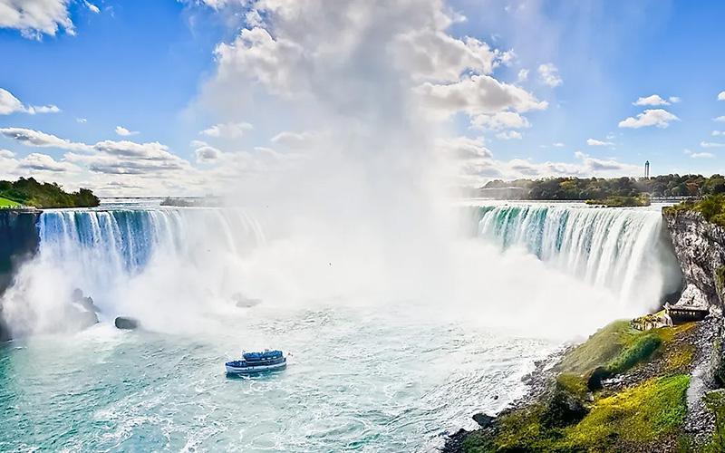 上海移民機構(gòu)