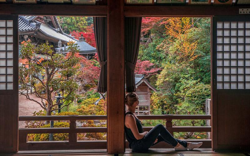 為啥有人想移民日本？深入解析日本移民的吸引力