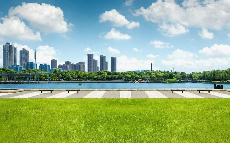 美國博士移民后能否當兵？政策與現(xiàn)實解析