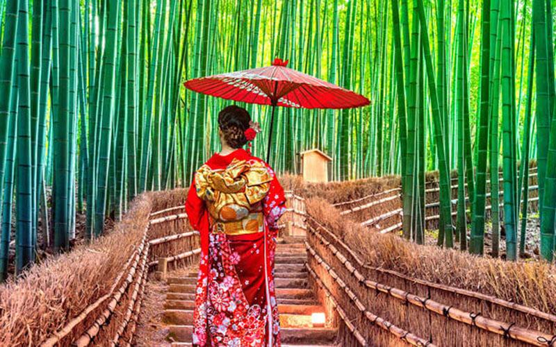 投資105萬移民項目怎樣？深入解讀流程與要點