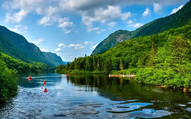 小國投資入籍通用么？深入探討小國投資入籍的國際通行性