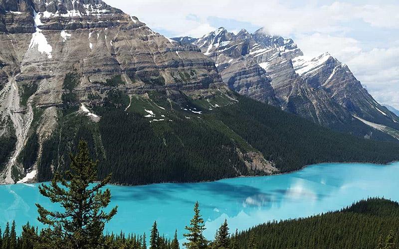 移民中介怎么判斷好不好？選擇靠譜移民中介的關(guān)鍵因素