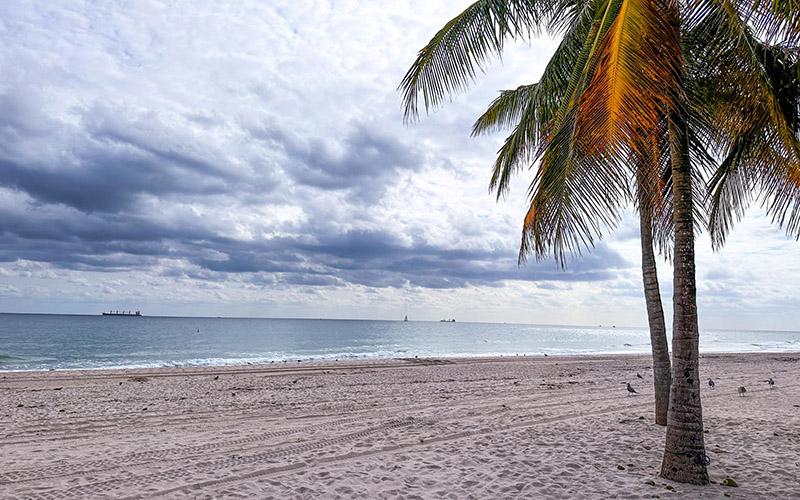 怎樣申請(qǐng)多米尼克移民？詳解申請(qǐng)流程與注意事項(xiàng)