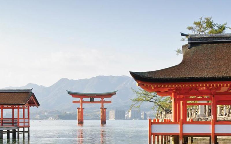 為何大量的人移民日本？多角度解讀背后的吸引力