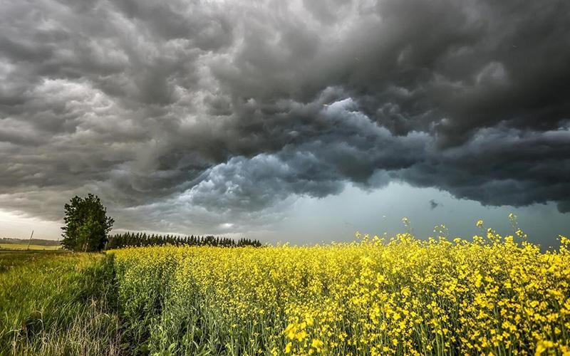 小國投資入籍怎么收費(fèi)？了解投資入籍購買費(fèi)用和相關(guān)政策