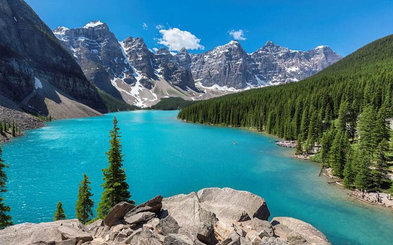 投資移民哪家好？選擇優(yōu)質(zhì)移民服務(wù)機(jī)構(gòu)的關(guān)鍵因素