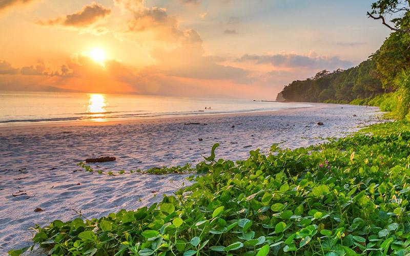 多米尼克入籍要多久？流程解析與政策詳解