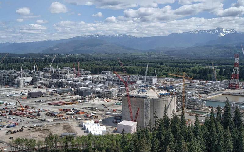 移民咨詢機構(gòu)如何辦理業(yè)務(wù)？深入了解辦理流程與選擇標(biāo)準