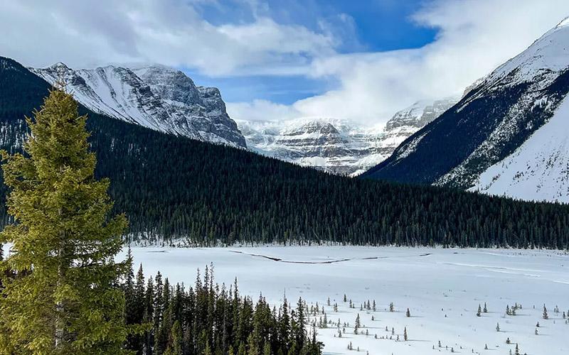 深圳移民機(jī)構(gòu)費(fèi)用多少？全面了解深圳移民服務(wù)的費(fèi)用結(jié)構(gòu)