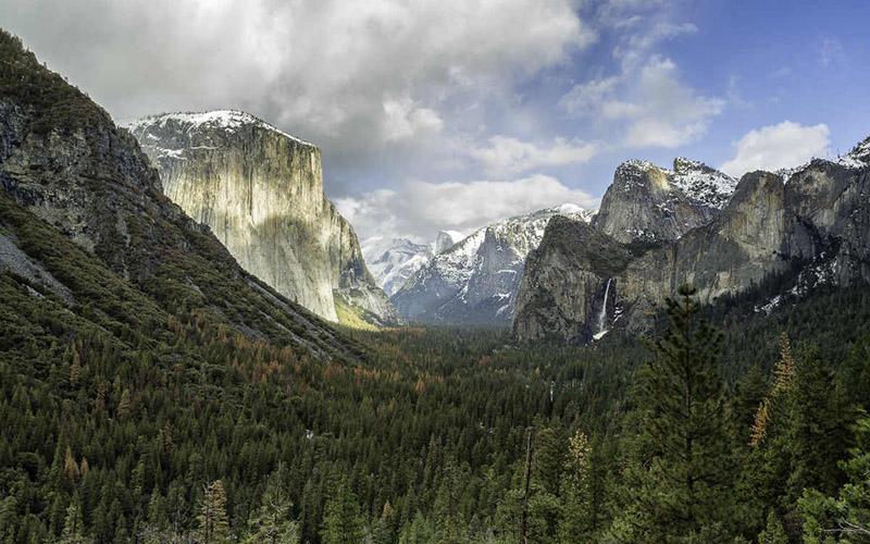 EB1A每年名額多少？了解EB1A移民類別的申請限制與機會