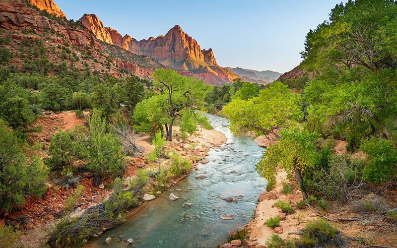 美國是否有華人移民？探討華人移民在美國的歷史與現(xiàn)狀