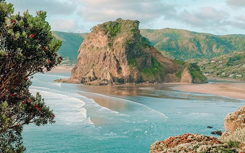 購房移民如何規(guī)劃？關(guān)鍵步驟與要點解析