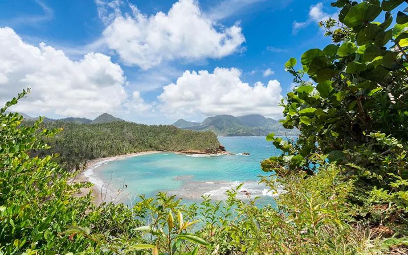 投資移民多米尼克多少錢？詳細(xì)解析移民成本與投資方案