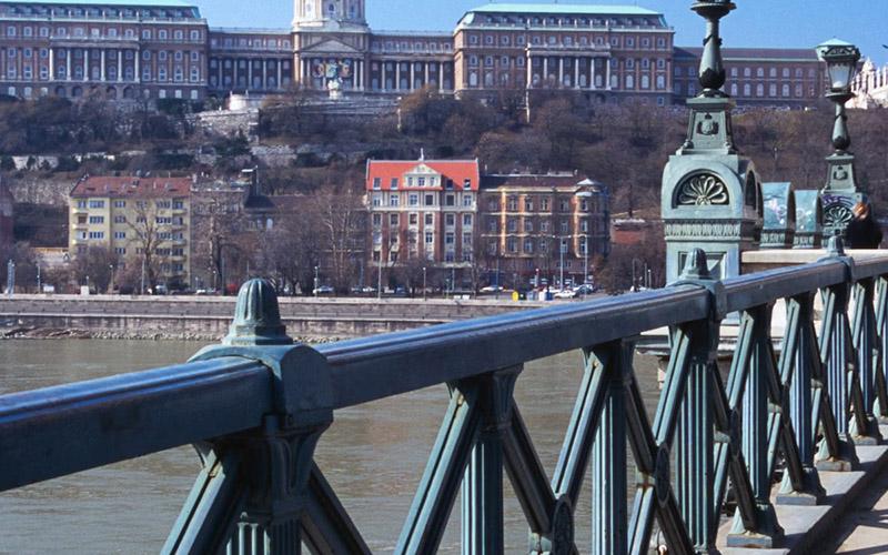 移民改國籍嗎？詳解移民政策與選擇建議