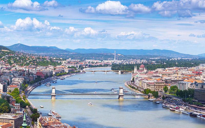 投資移民為何終止申請(qǐng)了？深度解析與應(yīng)對(duì)方案