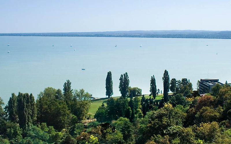 如何分辨移民中介真假呢？詳解辨別方法與注意事項(xiàng)