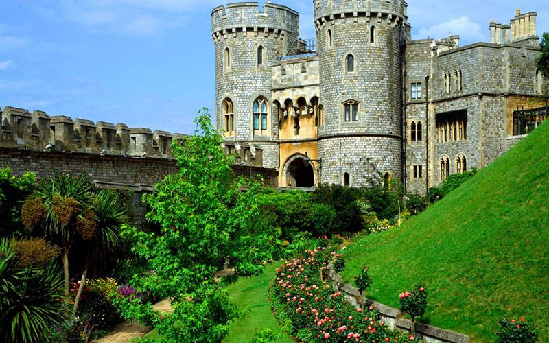 公檢法人員辭職能否移民？深度解析關鍵問題