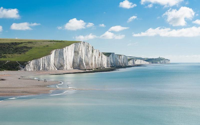 移民要不要消除國籍申請？詳解利弊與實用建議