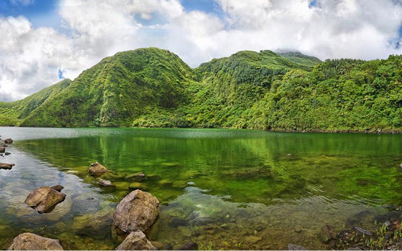 多米尼克移民簽證多少錢？詳細解析費用及相關因素