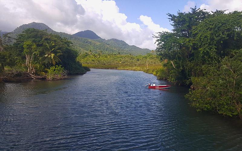 成都多米尼克移民多少錢？詳細解析移民費用