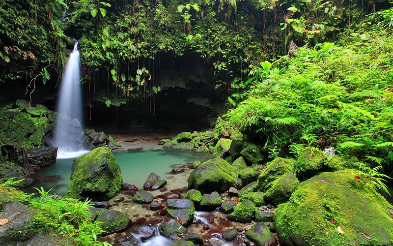 多米尼克移民怎么辦理？解析多米尼克移民的詳細(xì)辦理流程